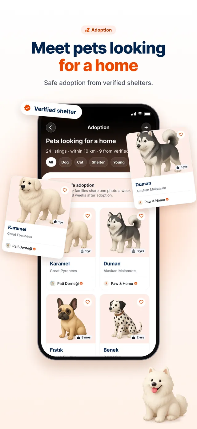 SuperPet: adoption listings